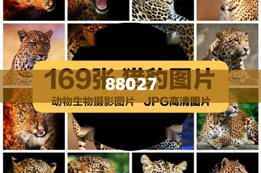 换化妆品脸紧,权威汇总正版_CXZ版?DT434