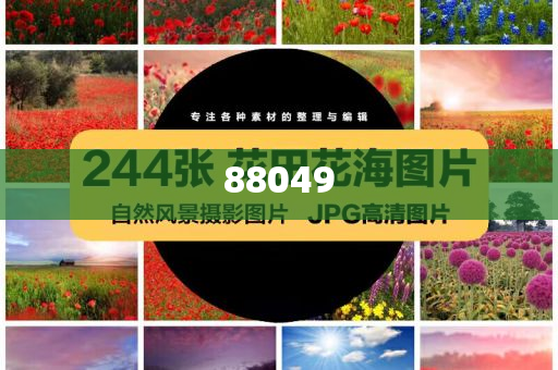 上海思芮
