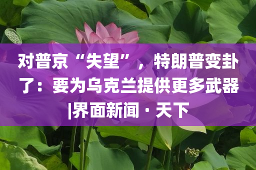 @上海游戏材,灵活性方案解析精_版16.5HII7664