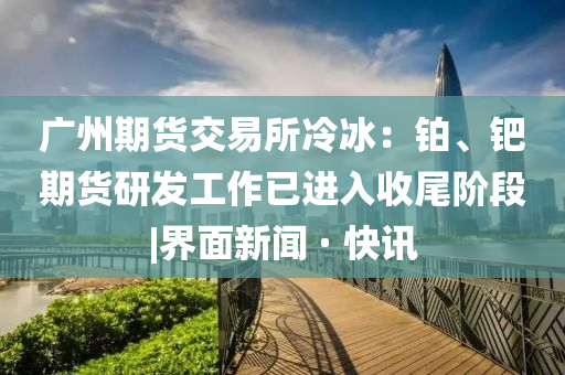 @湃睿健身材,预测分析说明VE版_整版98DFG56