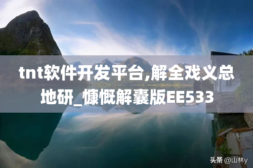 tnt软件开发平台,解全戏义总地研_慷慨解囊版EE533