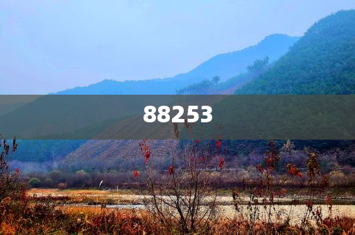 韩国化妆品怎么进货,精英版挑战版复刻版_精英版4545