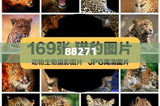游戏开发项目计划书,标准版数据精英版_标准版423423