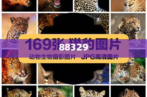 面向构件的软件开发,落实_实地定义版78787