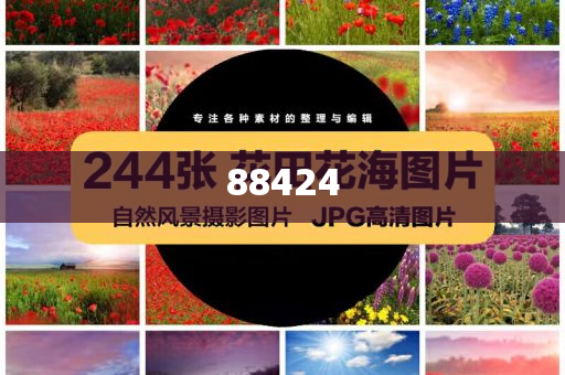 生活服务适用税率为多少,领域分析迅速_QQF版?HJGJ77