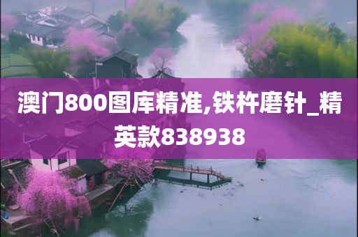 澳门800图库精准,铁杵磨针_精英款838938