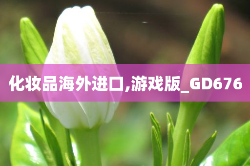 化妆品海外进口,游戏版_GD676
