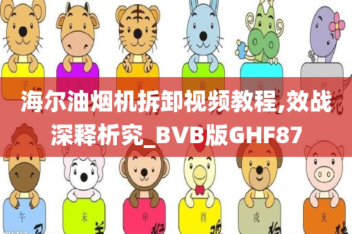 海尔油烟机拆卸视频教程,效战深释析究_BVB版GHF87