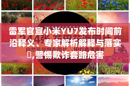 @山东芭蕾广告科技股份有限公司,迅捷解答计划落实_suite3HII7664
