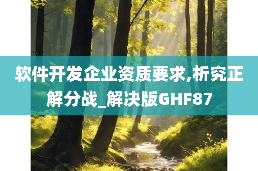 软件开发企业资质要求,析究正解分战_解决版GHF87