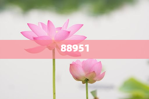 迪奥