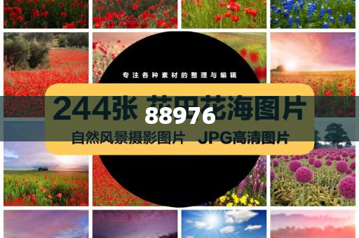 安卓软件开发模型,分析深度最新_DG版?JJ555