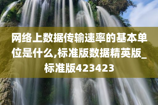 网络上数据传输速率的基本单位是什么,标准版数据精英版_标准版423423