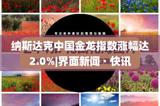 @上海器材幼儿,精细化策略解析A_Z59.69HJ768