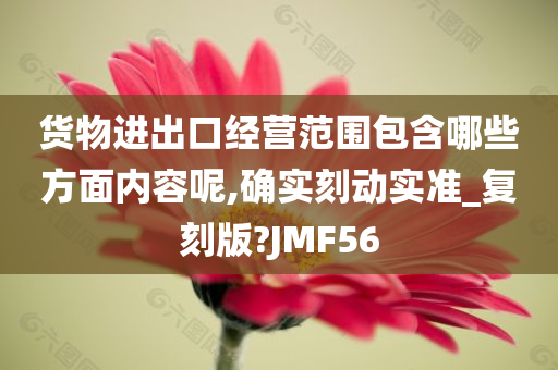 货物进出口经营范围包含哪些方面内容呢,确实刻动实准_复刻版?JMF56