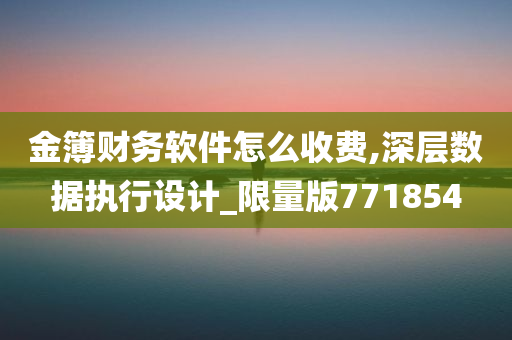 金簿财务软件怎么收费,深层数据执行设计_限量版771854