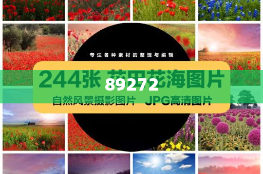 品牌管理课程论文3000字,迅今晚必出三肖2025_2025新澳门精准免费提供·精确判断速数据解析_DFJ版?JHG676