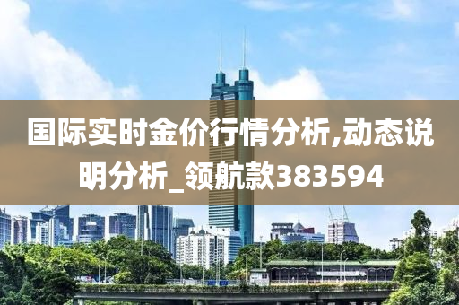 国际实时金价行情分析,动态说明分析_领航款383594