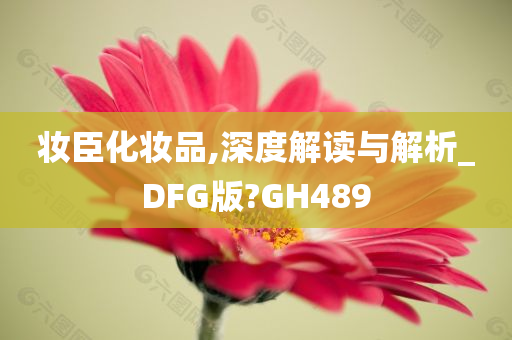 妆臣化妆品,深度解读与解析_DFG版?GH489