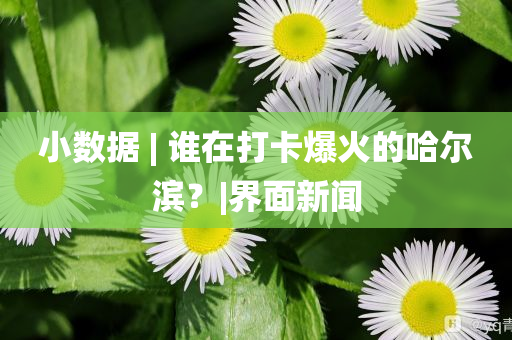 @家具花梨育局,战略方案优化GT2_复刻版DFG56