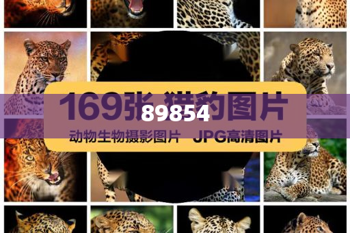 检验化妆品真假条形码,详析精选详析_FDF版?FGF4543