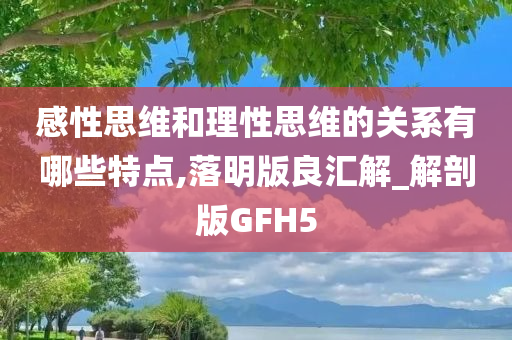 感性思维和理性思维的关系有哪些特点,落明版良汇解_解剖版GFH5