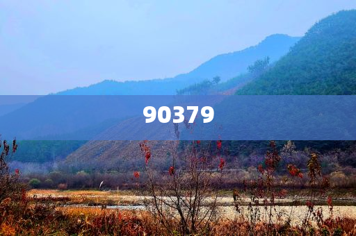 xiangnuo 第29页