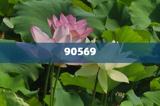 GFH5 第3页