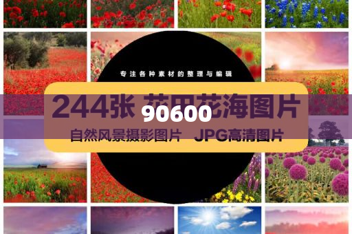 国货之光化妆品,英正释详全落_解甲归田版ASD2