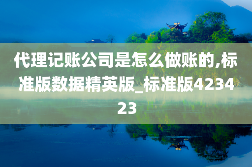 代理记账公司是怎么做账的,标准版数据精英版_标准版423423