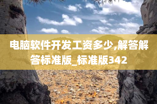电脑软件开发工资多少,解答解答标准版_标准版342