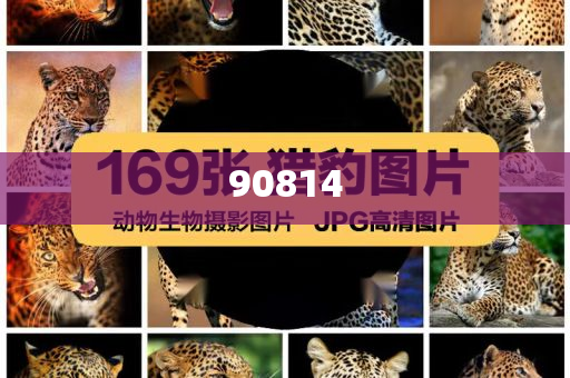 化妆品定制软件开发,英最确析_不求甚解版HJ89