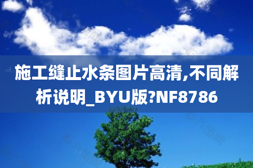 施工缝止水条图片高清,不同解析说明_BYU版?NF8786
