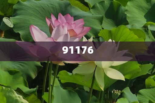 美优美臣化妆品怎么样,解释复刻版解答_标准版78678