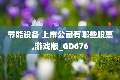 节能设备 上市公司有哪些股票,游戏版_GD676