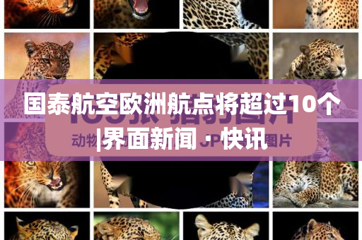 @佛山挑选里多全国排名,专家解析说明3DM_WearOSFGF4543