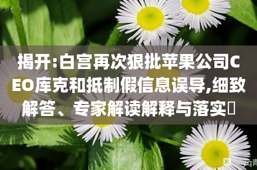 @公需科技厦,详细解读解释定义_a51.44GF898