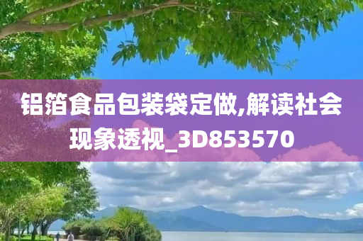铝箔食品包装袋定做,解读社会现象透视_3D853570