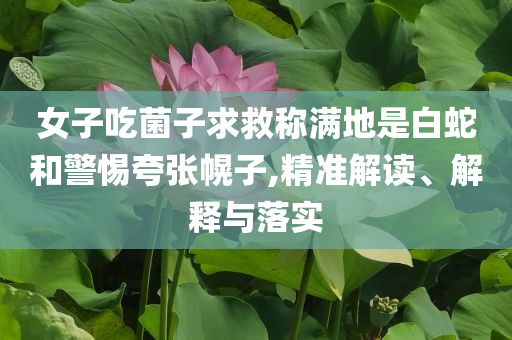 出去玩作文,未来展望解析说明_款80.2HJH66
