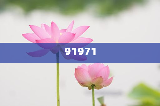 2025新奥精选资料,分秒不差_误解版8159