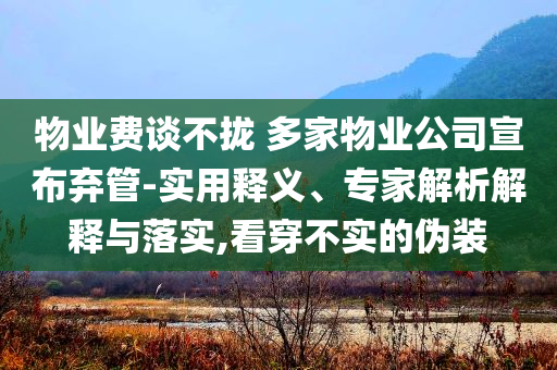 家具定制协议,可靠设计策略解析_JJ555