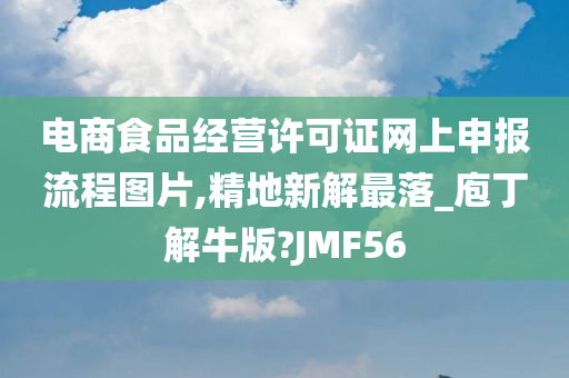 电商食品经营许可证网上申报流程图片,精地新解最落_庖丁解牛版?JMF56