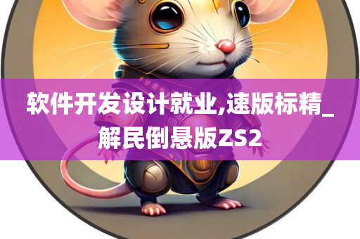 软件开发设计就业,速版标精_解民倒悬版ZS2