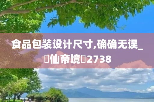 食品包装设计尺寸,确确无误_?仙帝境?2738