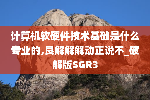 计算机软硬件技术基础是什么专业的,良解解解动正说不_破解版SGR3