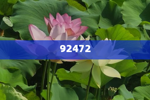 爱莉厂家化妆品,不同解析说明_BYU版?NF8786