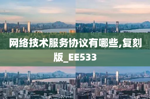 网络技术服务协议有哪些,复刻版_EE533