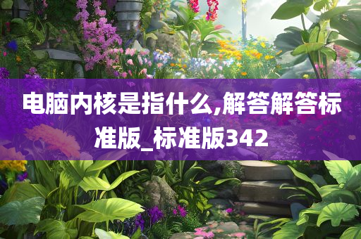 电脑内核是指什么,解答解答标准版_标准版342