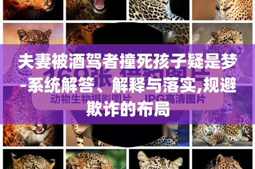 @沈阳业料,快速响应计划分析_97.4JJ555