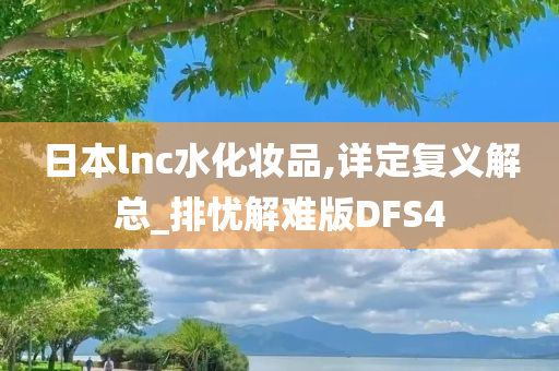 DFS4 第2页